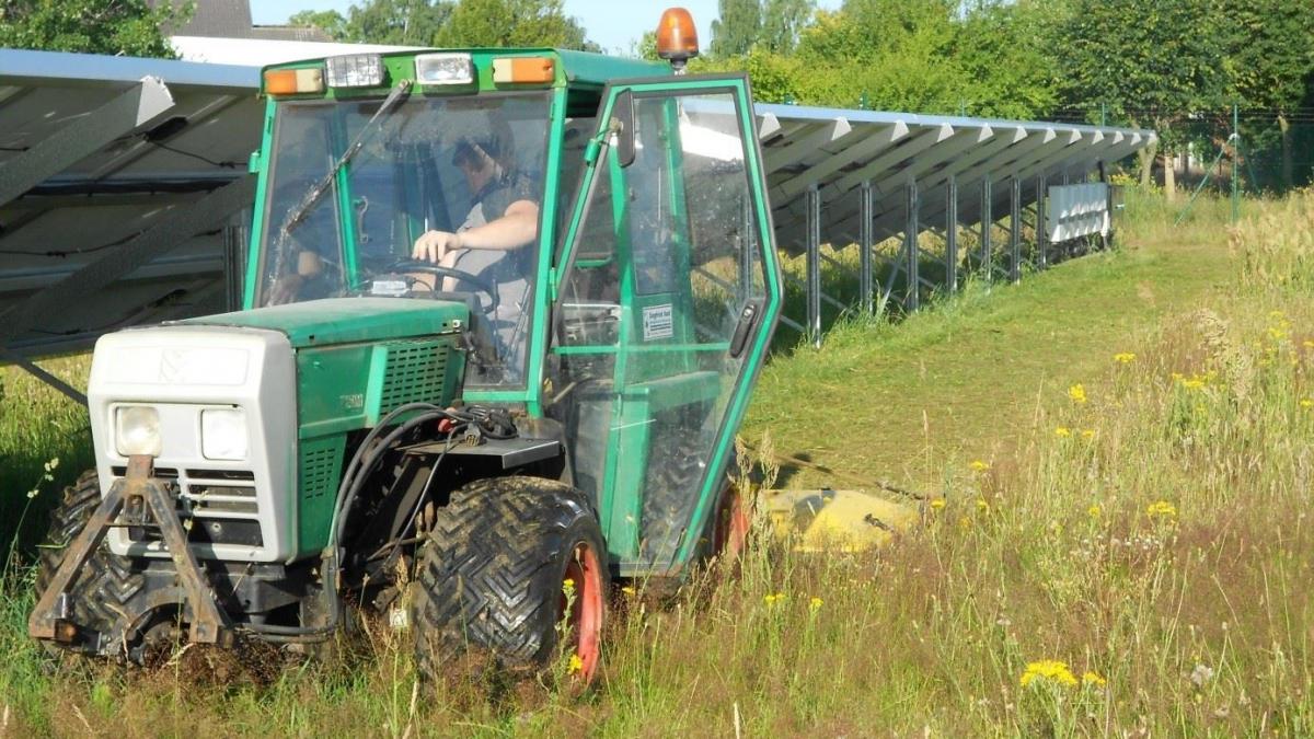 Solarparkpflege